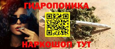 сатива Моздок