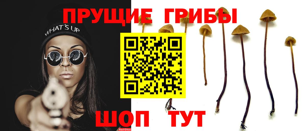 Псилоцибиновые грибы ЛСД Рузаевка