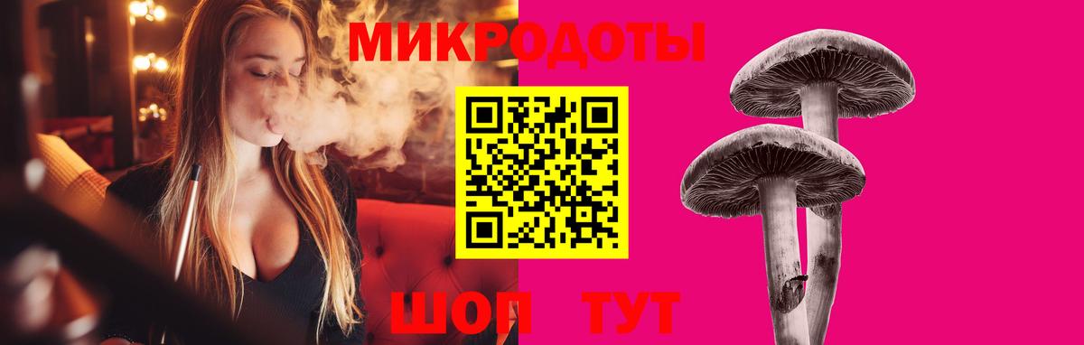 Псилоцибиновые грибы ЛСД  Вход с VPN  Галлюциногенные грибы ЛСД  Рузаевка 